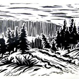 Lino-cut print of the Iditarod exit trail out of Koyuk.
